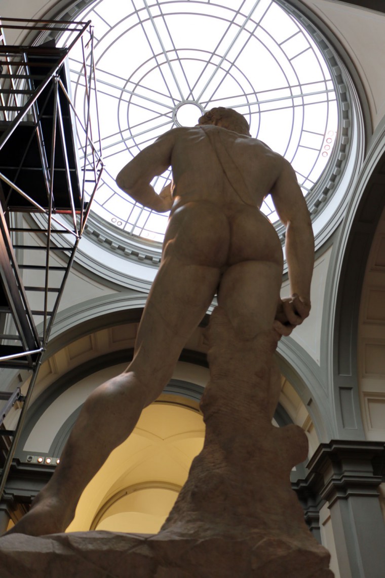 david-back-view